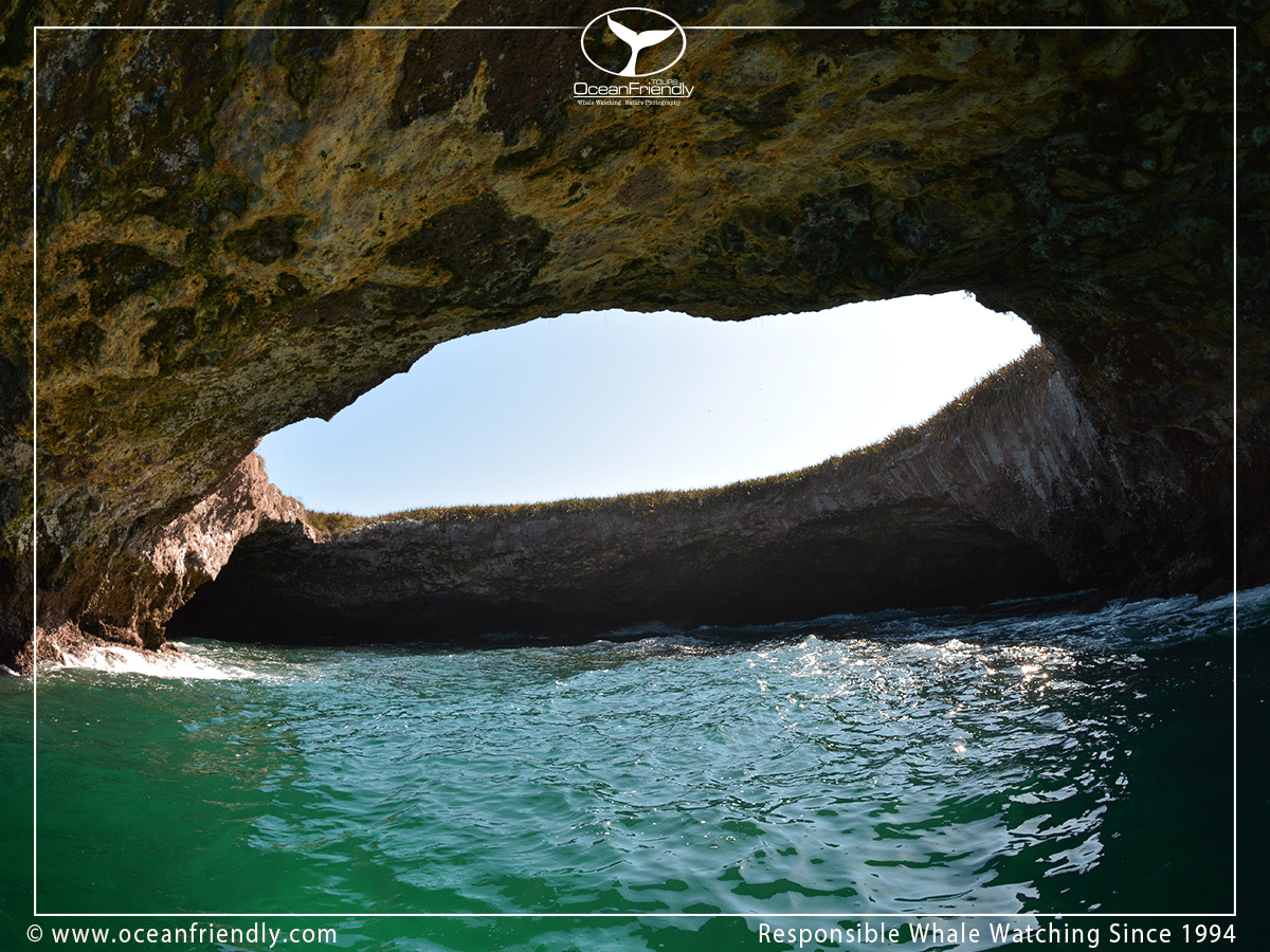 Islas Marietas Wildlife & Birdwatching Tour (5 hour tour) - Image 5