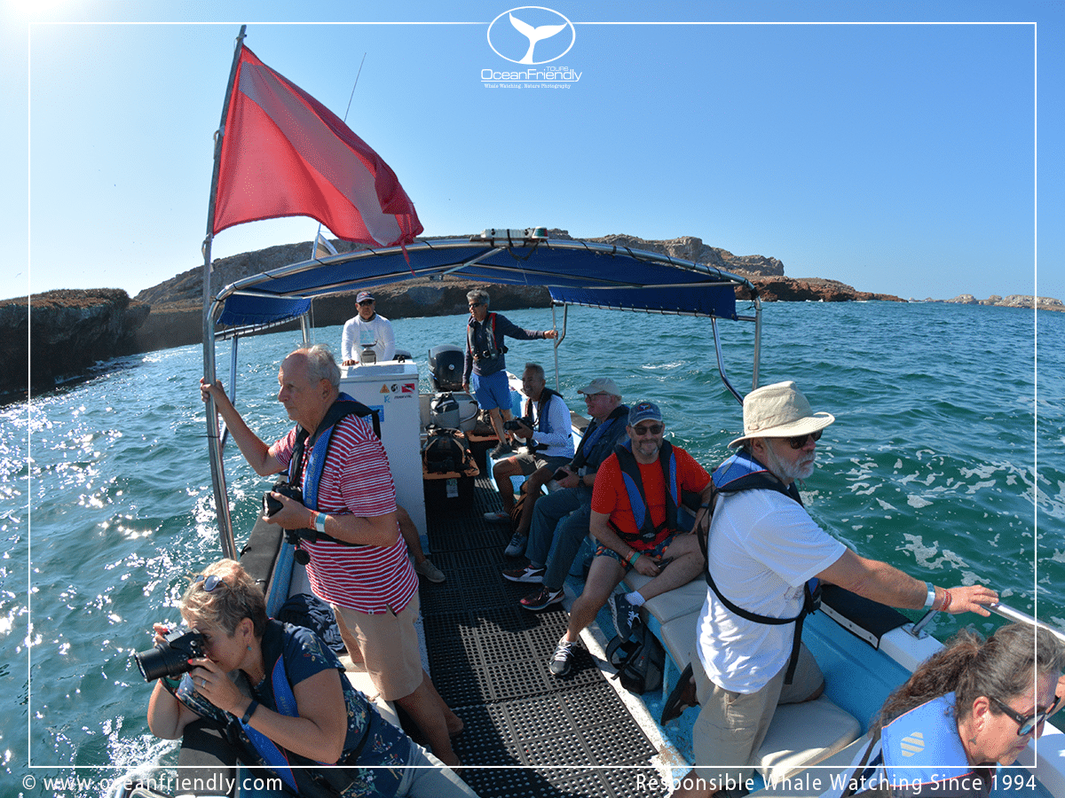 Islas Marietas Wildlife & Birdwatching Tour (5 hour tour) - Image 4