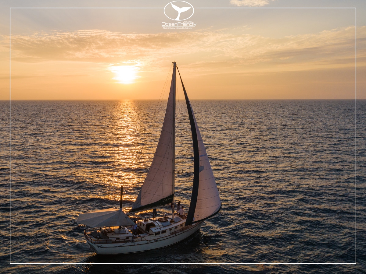 Sailboat at Sunset