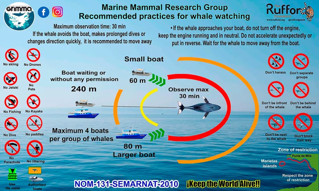Diagram depicting ethical whale watching, is whale watching ethical, responsible whale watching, are whale watching tours bad for whales, are whale watching tours ethical